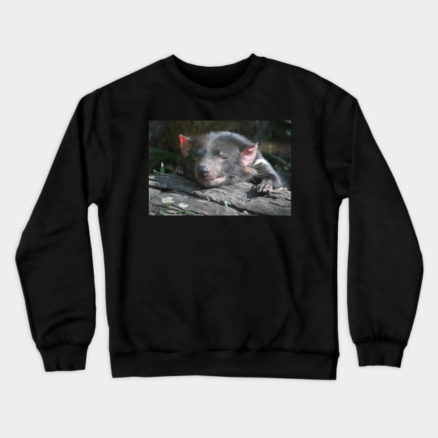 Tasmanian Devil Crewneck Sweatshirt by LeanneAllen